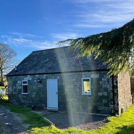 Morvoren Cottage Launceston Dış mekan fotoğraf
